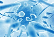 精液的作用,生命的传承与生殖的奥秘